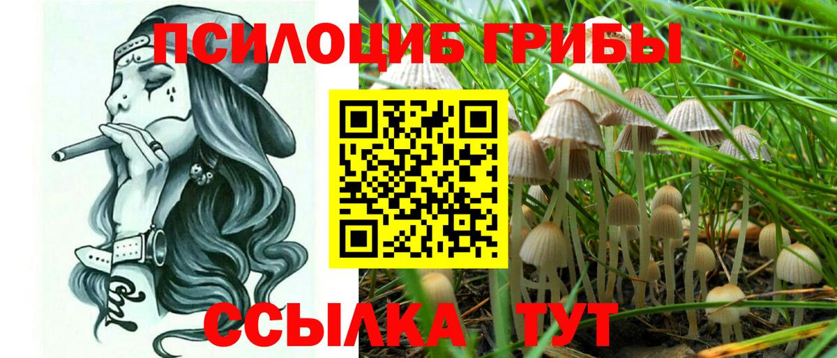 Галлюциногенные грибы MAGIC MUSHROOMS  Галлюциногенные грибы мицелий  Топки  Вход с VPN 